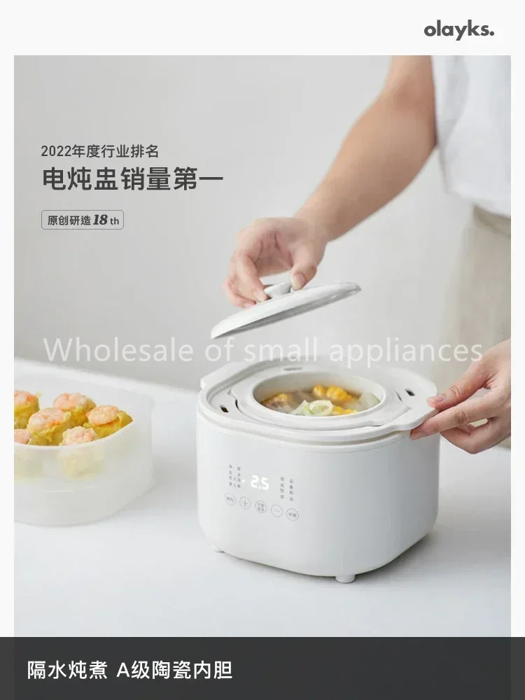 220V Small Electric Cooker, Ba - огляд і ціна Baby Food Usa