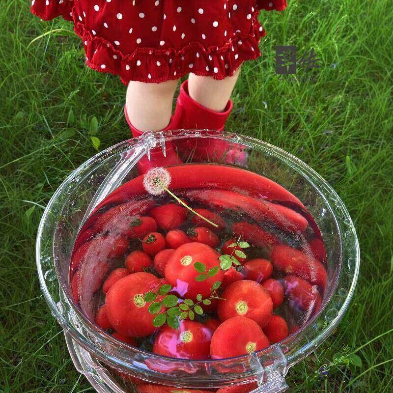 Food Grade Large Capacity Tran - огляд і ціна Baby Food Intake