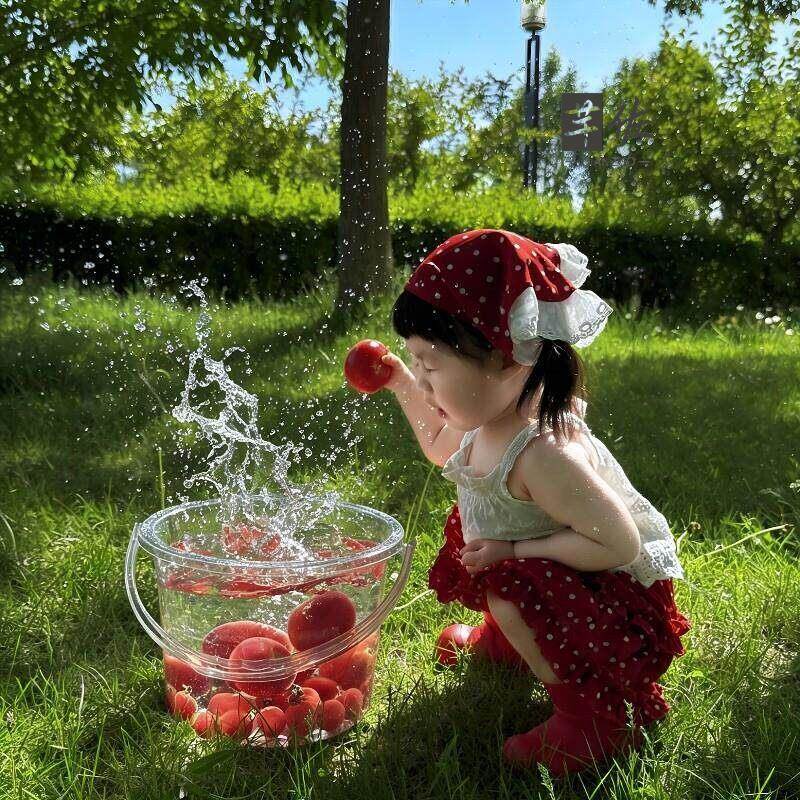 Food Grade Large Capacity Tran - огляд і ціна Baby Food Intake